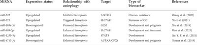 Role of ferroptosis and ferroptosis-related non-coding RNAs in the occurrence and development of gastric cancer